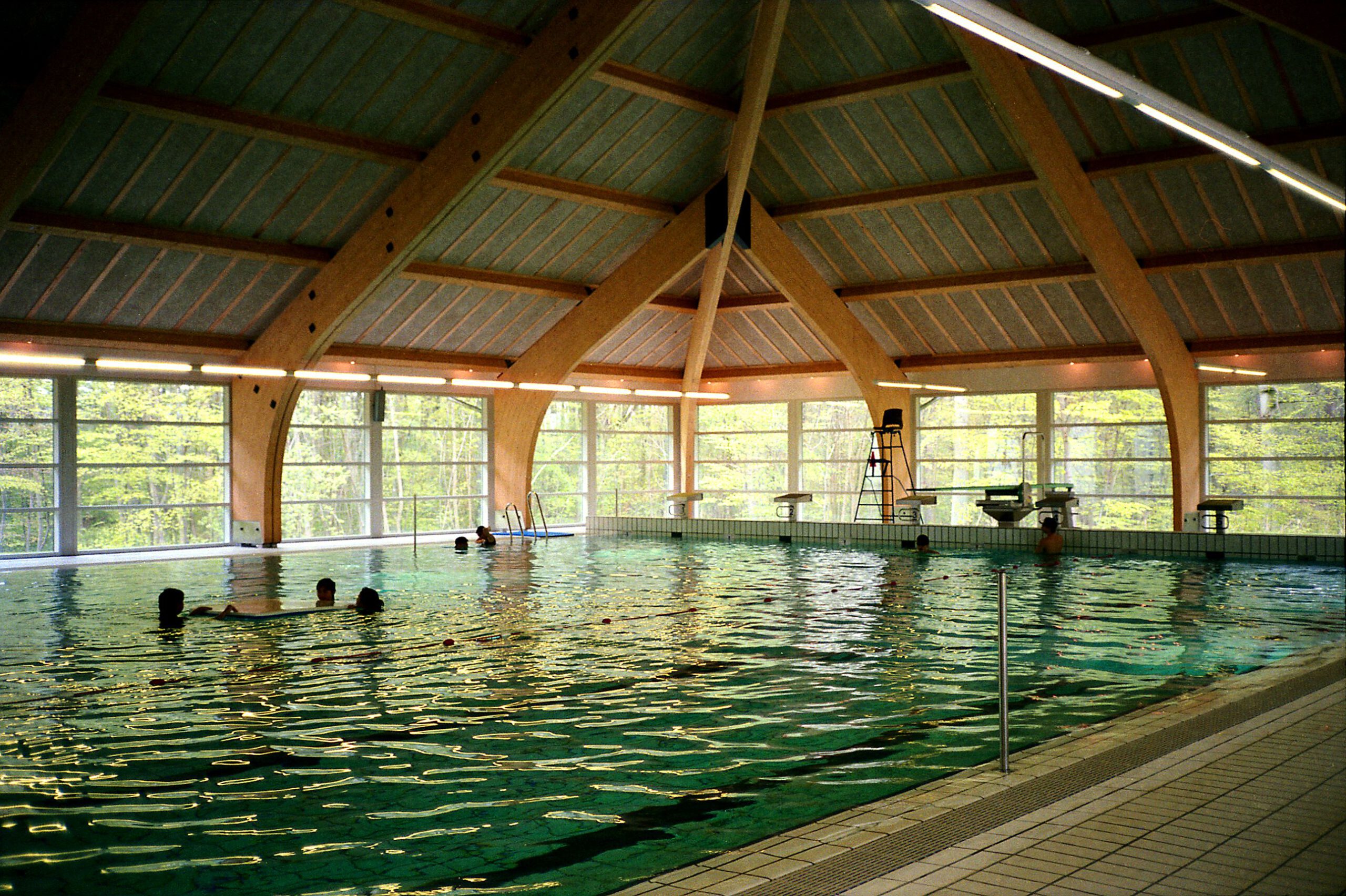 Swimmers training in an open water lake