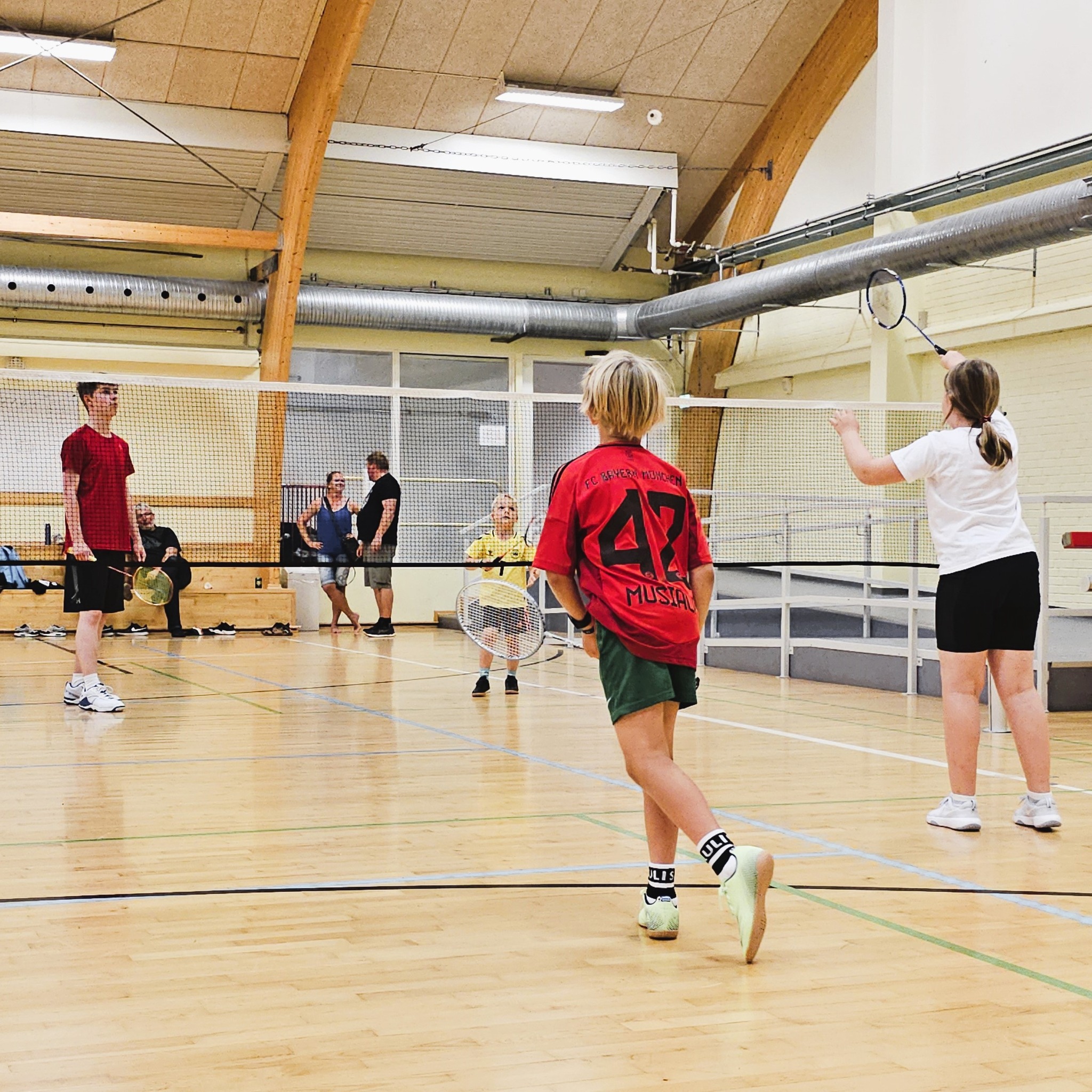 Badminton billede